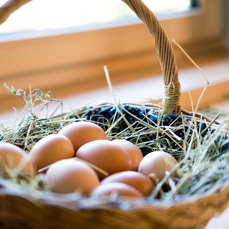 Innertrein Cadipietra Eksteriør bilde